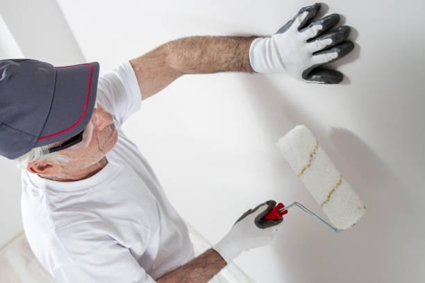 Best Mold Documentation for Insurance Claims  in Whitesboro, TX