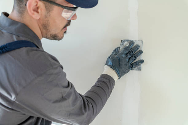 Mold Documentation for Insurance Claims in Whitesboro, TX