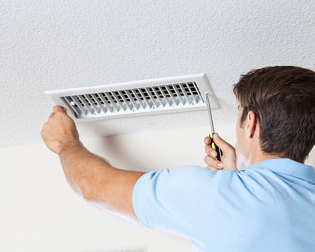Best Basement Mold Removal  in Whitesboro, TX