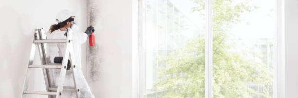 Best Indoor Air Quality Assessment  in Whitesboro, TX